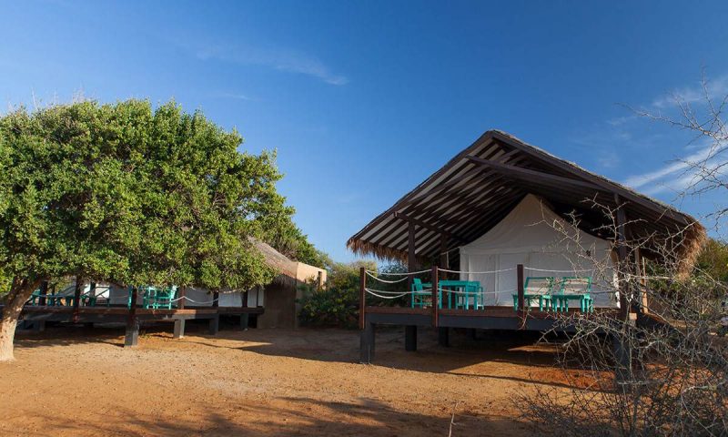 Jetwing Safari Camp Yala - Sri Lanka