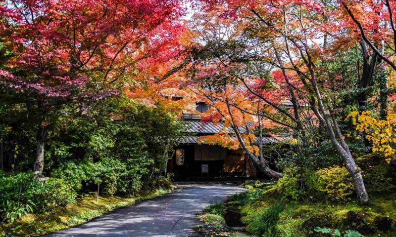 Ryokan Yamamizuki Minamioguni, Kyushu - Japan
