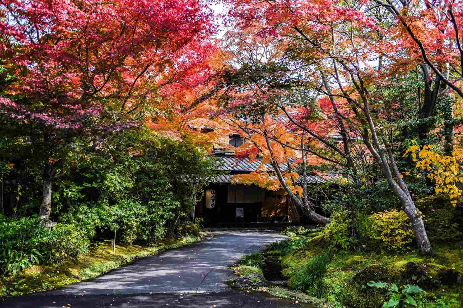 Ryokan Yamamizuki Minamioguni, Kyushu - Japan