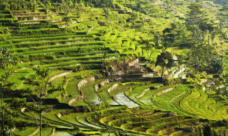 Amanjiwo Java - Indonesia