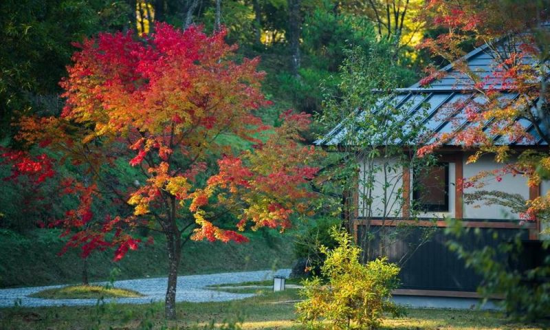 Ryokan Miyama Sansou Kumamoto, Kyushu - Japan