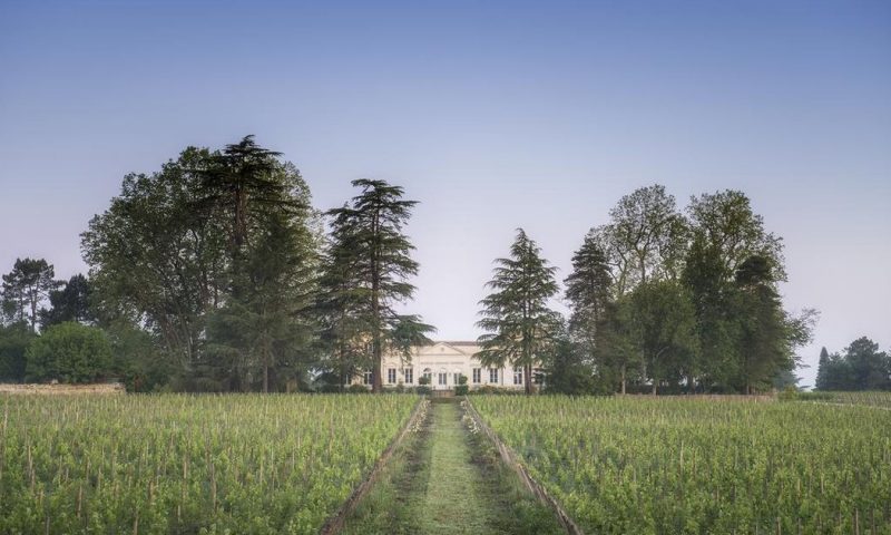 Château Le Pape Leognan, Aquitaine - France