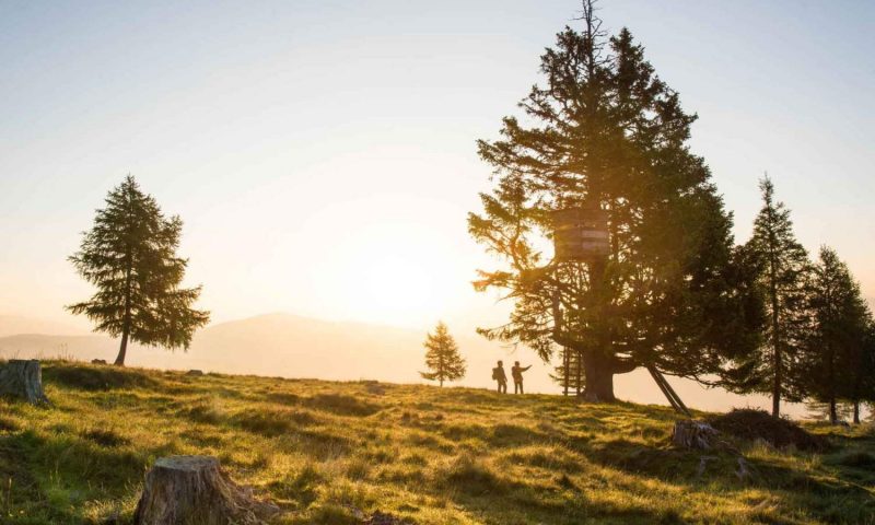 Almdorf Seinerzeit, Carinthia - Austria