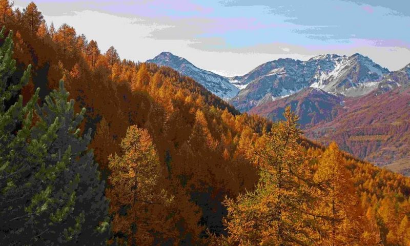 Chalet Il Capricorno Sauze D