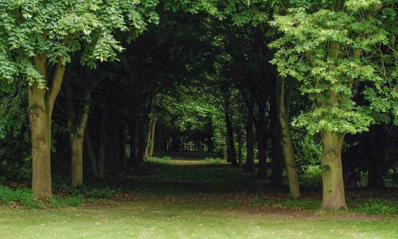 Saltmarshe Hall, East Riding - England