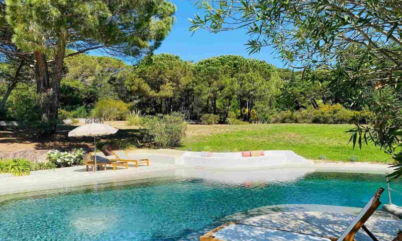La Vigne de Ramatuelle, Provence - France