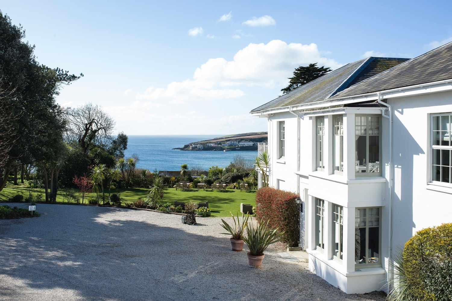 The Rosevine Cornwall, England - United Kingdom