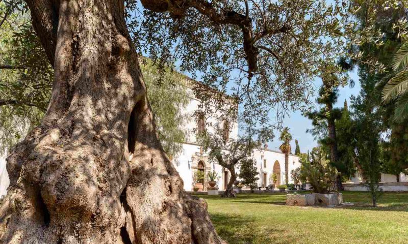 Masseria Marzalossa Fasano, Puglia - Italy