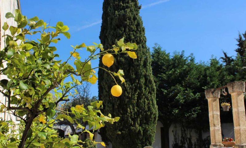 Masseria Marzalossa Fasano, Puglia - Italy
