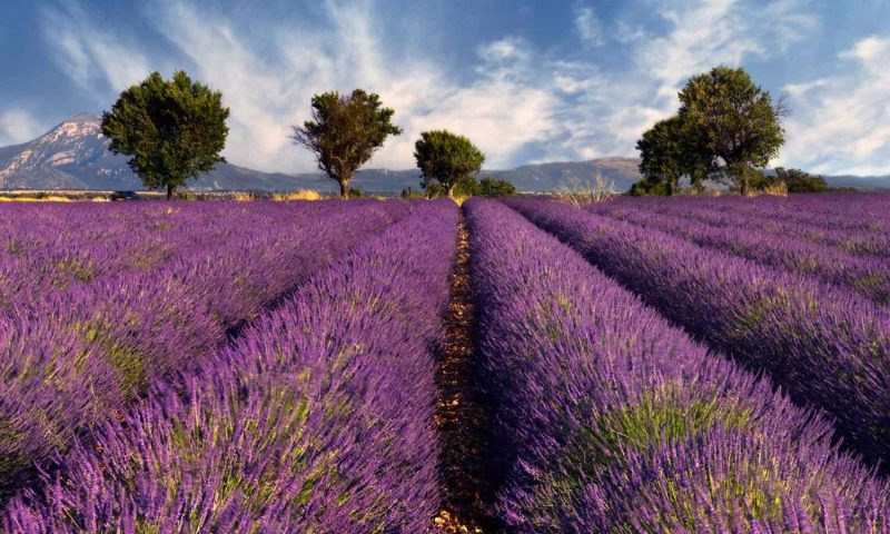 Hotel Les Bories & Spa Gordes, Provence - France