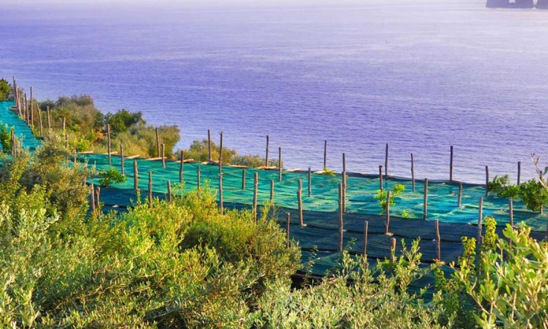 Hotel Don Alfonso 1890 Massa Lubrense, Sorrento - Italy