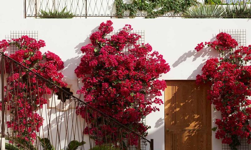 Sa Creu Nova Petit Palais Art & Spa, Balearic Islands - Spain