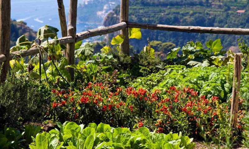 Hotel Villa Maria Ravello, Amalfi Coast - Italy