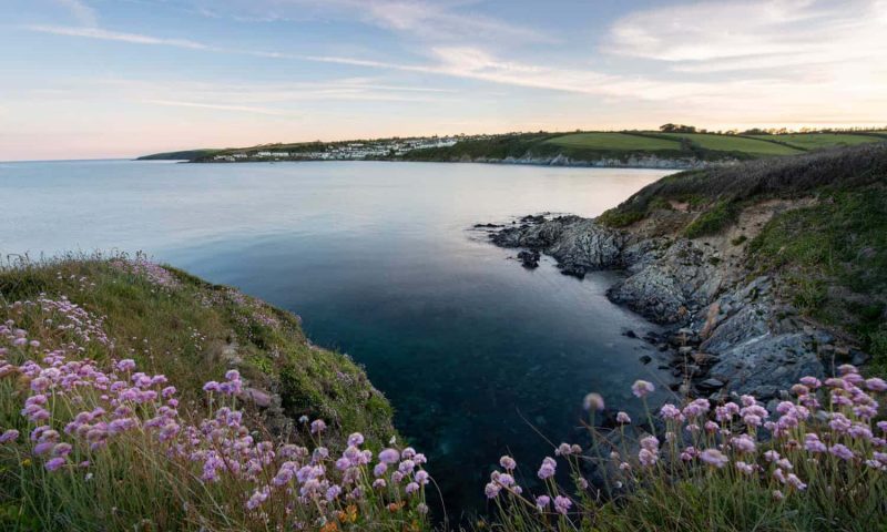 The Rosevine Cornwall, England - United Kingdom