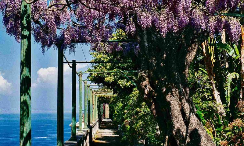 Grand Hotel Excelsior Vittoria Sorrento, Campania - Italy