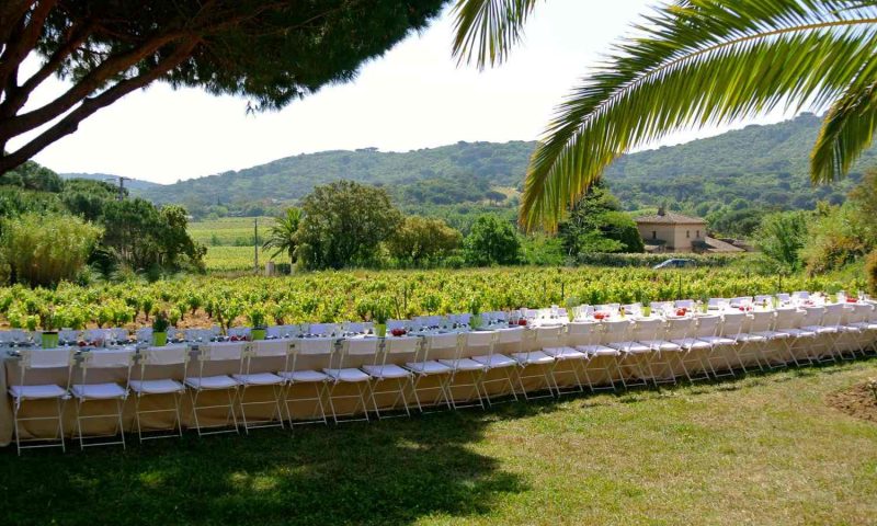 La Vigne de Ramatuelle, Provence - France