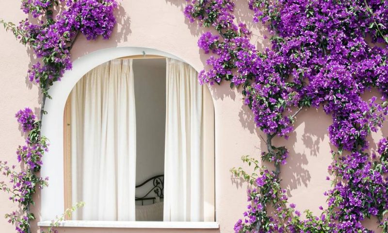 Hotel Conca d