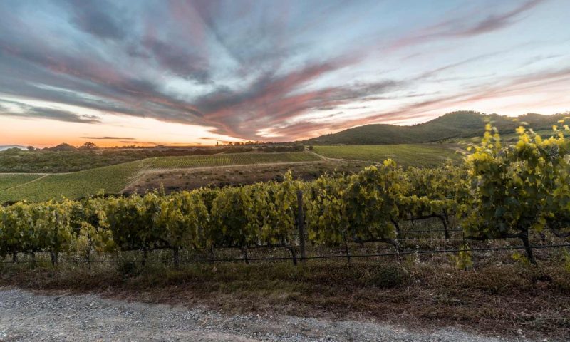 Podere Poggio al Sole Montalcino, Tuscany - Italy
