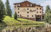 Hotel Steger-Dellai Seiser Alm, South Tyrol - Italy