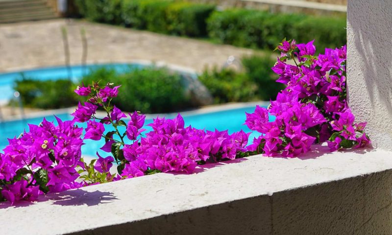 Hotel Palau, Sardinia - Italy
