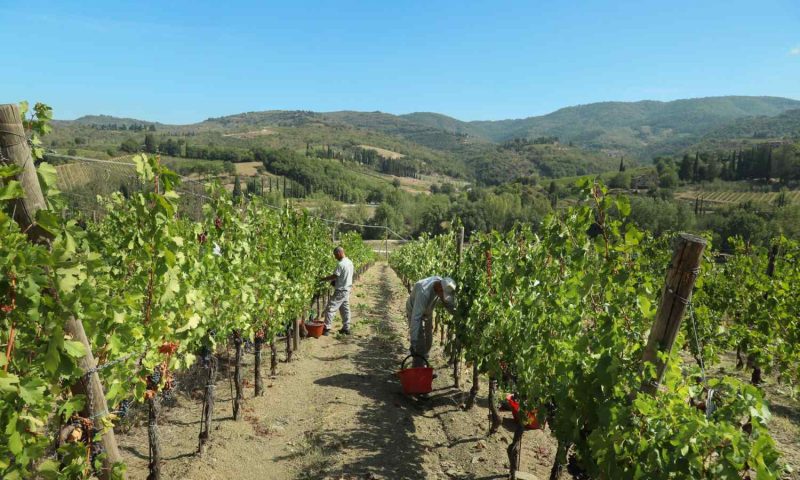 Vignamaggio Greve in Chianti, Tuscany - Italy