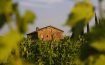 Podere Poggio al Sole Montalcino, Tuscany - Italy