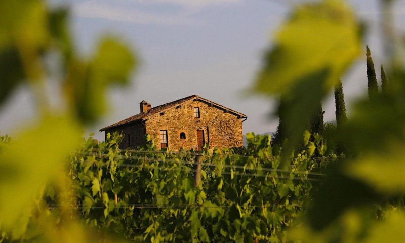 Podere Poggio al Sole Montalcino, Tuscany - Italy