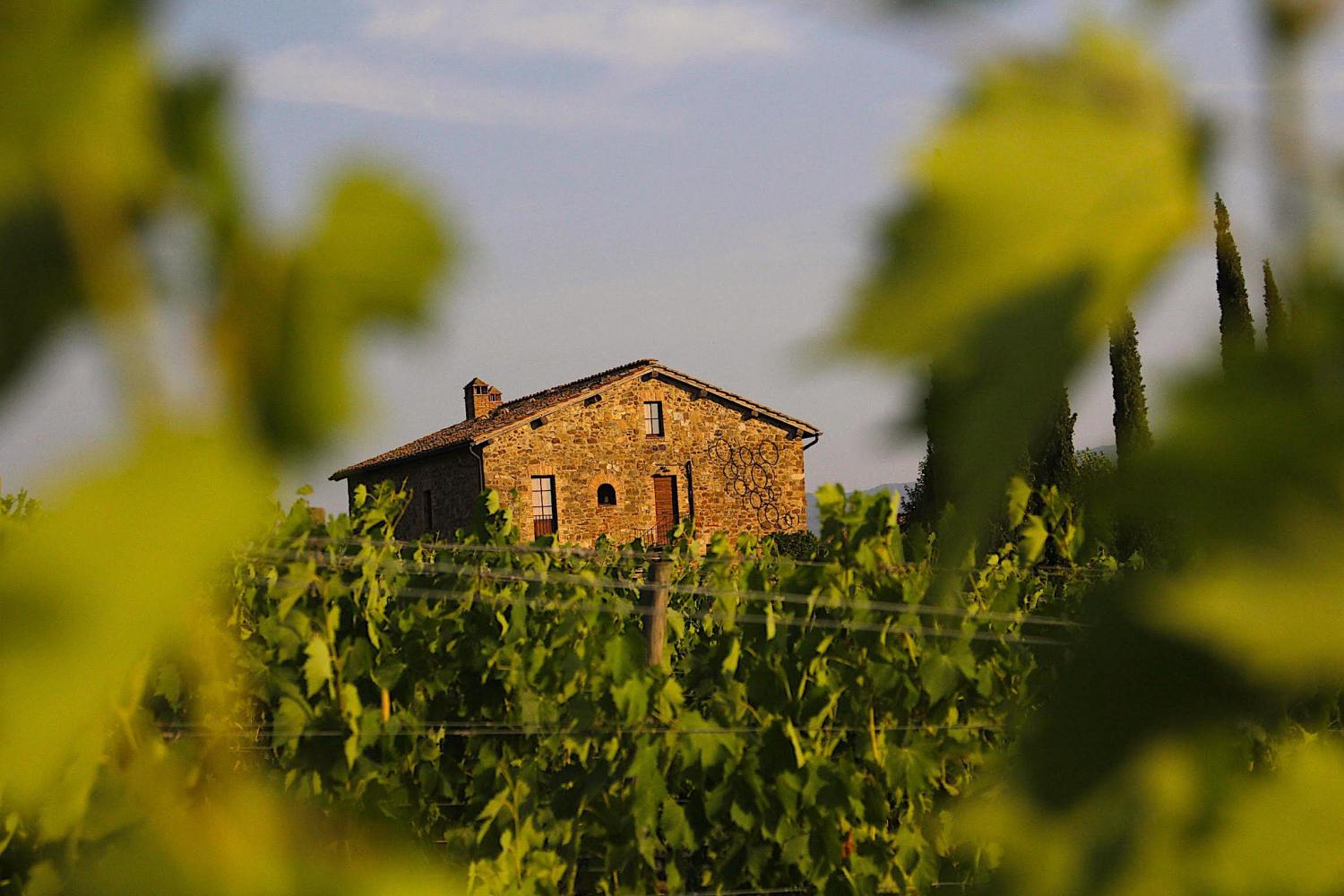 Podere Poggio al Sole Montalcino, Tuscany - Italy