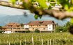 Hotel Girlanerhof Bolzano, South Tyrol - Italy