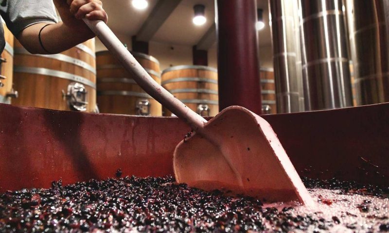 Salcheto WineHouse Montepulciano, Tuscany - Italy