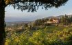 Vignamaggio Greve in Chianti, Tuscany - Italy
