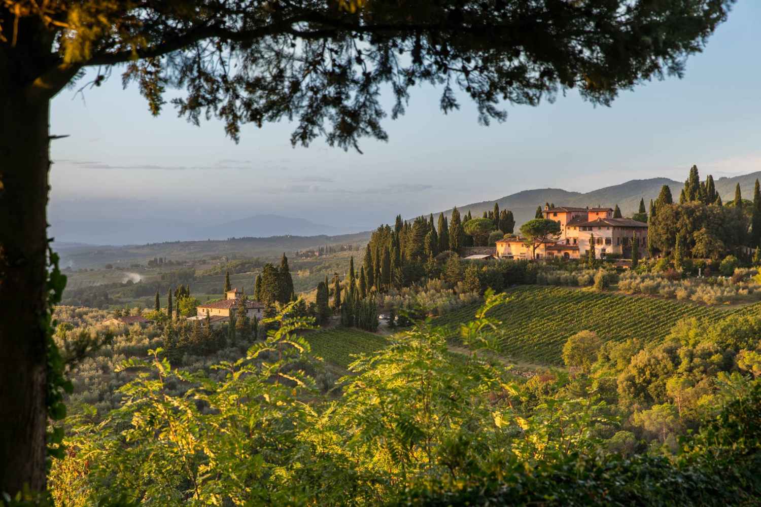 Vignamaggio Greve in Chianti, Tuscany - Italy