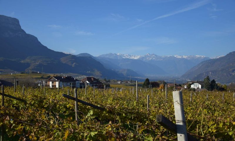 Hotel Girlanerhof Bolzano, South Tyrol - Italy