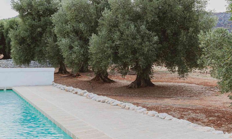 Masseria Le Carrube Ostuni, Puglia - Italy