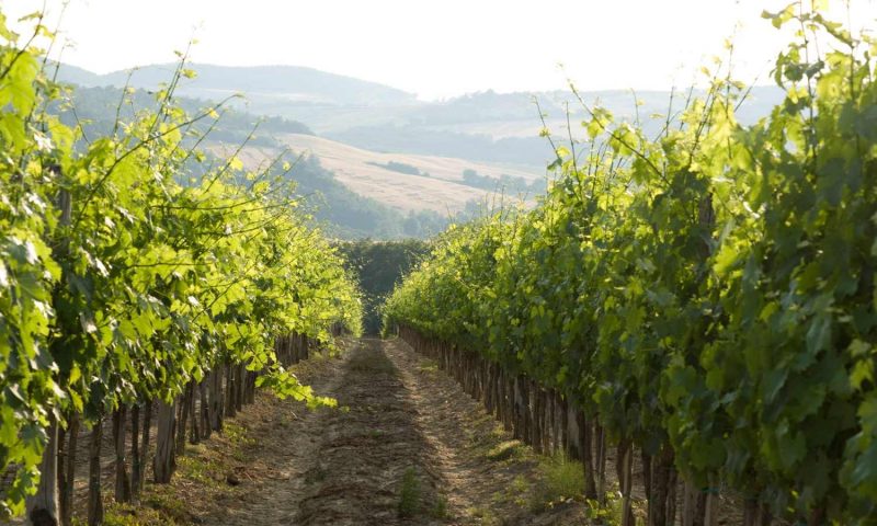 Monteverdi Tuscany - Italy