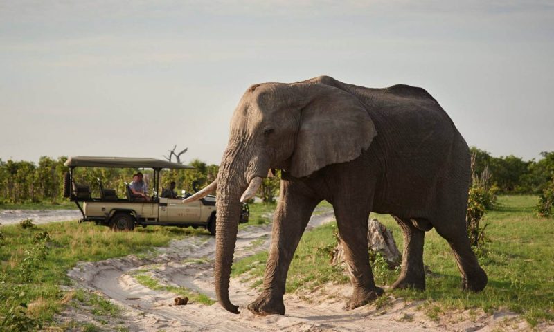 Belmond Savute Elephant Lodge - Botswana