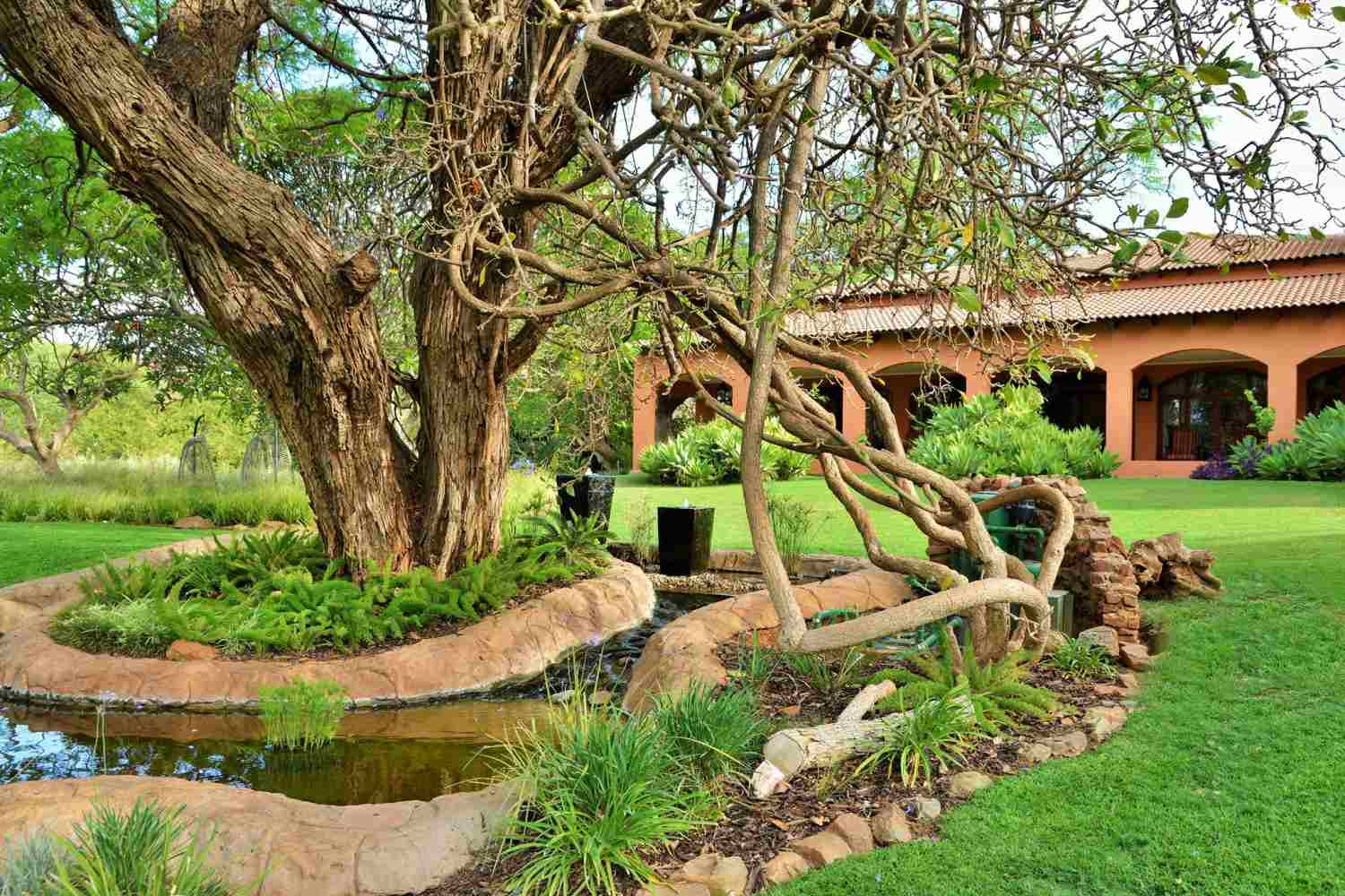 The Bush House Madikwe, North West - South Africa