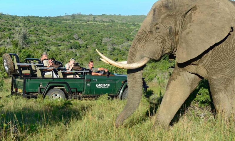 Kariega Game Reserve River Lodge, Eastern Cape - South Africa