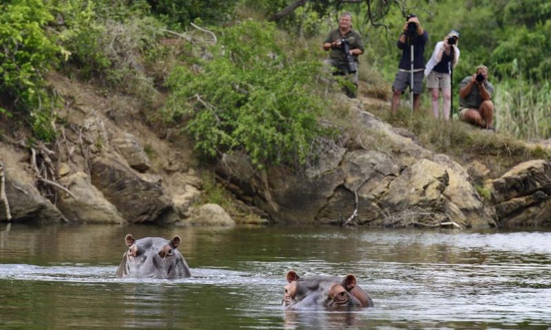 Kariega Game Reserve River Lodge, Eastern Cape - South Africa