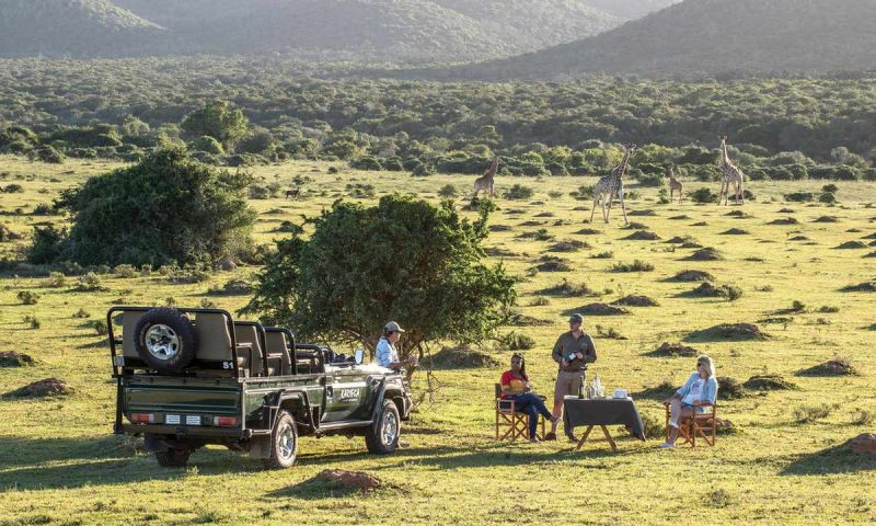 Kariega Game Reserve River Lodge, Eastern Cape - South Africa