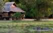 Mfuwe Lodge Zambia