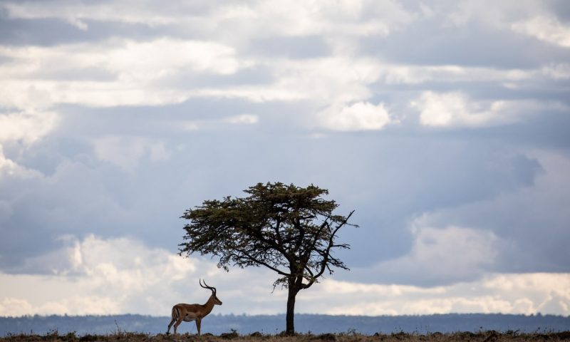Mahali Mzuri Maasai Mara - Kenya