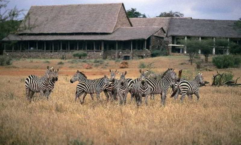 Kilaguni Serena Safari Lodge - Kenya
