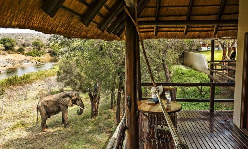Nyati Safari Lodge, Limpopo - South Africa