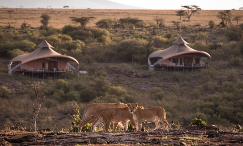 Mahali Mzuri Maasai Mara - Kenya