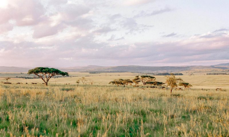 Nambiti Hills Private Game Reserve, Kwazulu Natal - South Africa