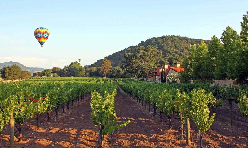 Napa Valley Lodge, California - United States Of America