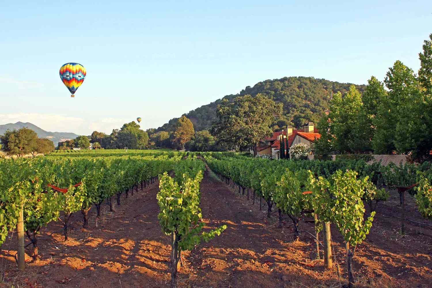 Napa Valley Lodge, California - United States Of America