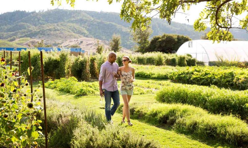 Napa Valley Lodge, California - United States Of America