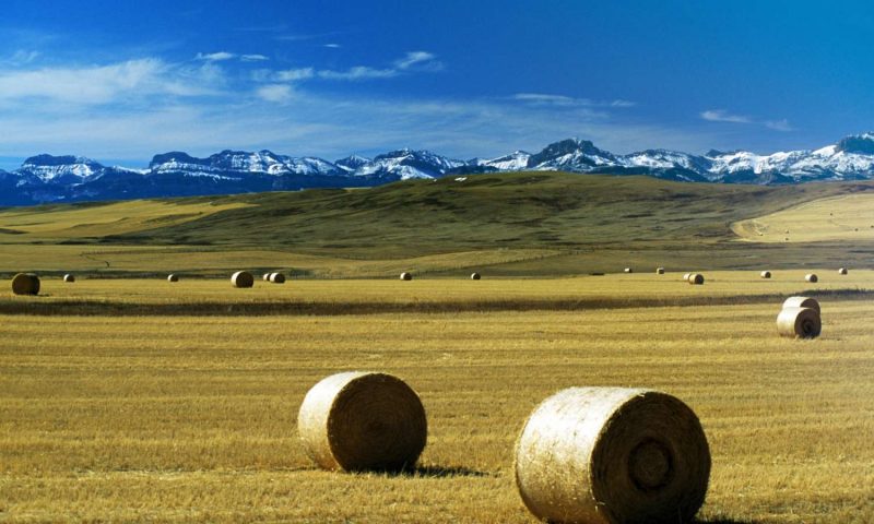 Grey Cliffs Ranch Montana - United States Of America